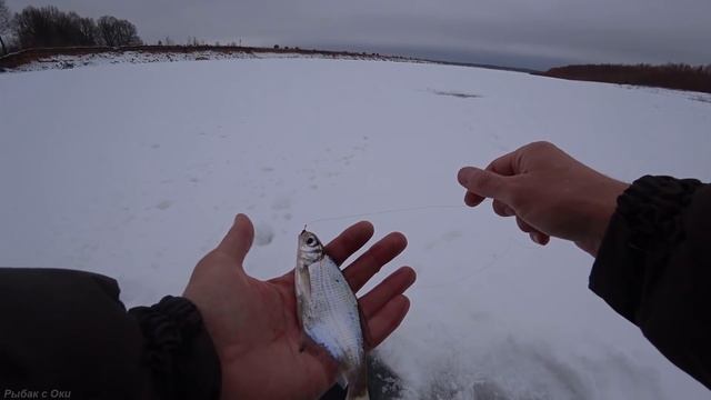 Зимняя Рыбалка на Оке ! Ловля рыбы зимой на течении ! смотреть онлайн