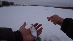 Зимняя Рыбалка на Оке  ! Ловля рыбы зимой на течении !