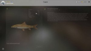 РР4. Озеро Янтарное. Где ловить ТРОФЕЙ Усач обыкновенный. Где ловить Карп Рамчатый, Зеркальный и Ле