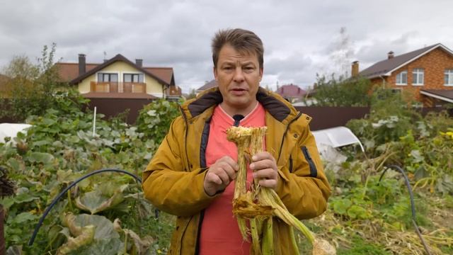 Вскрыл компостер из поликарбоната и был сильно удивлен результатом смотреть онлайн