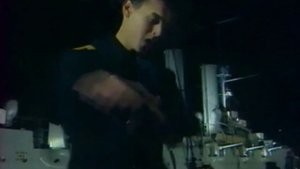 Чиж. Летят перелётные птицы