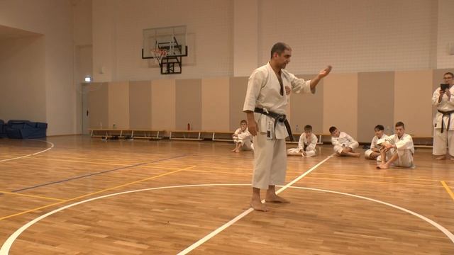 СК "БУДО" техника каратэ смотреть онлайн