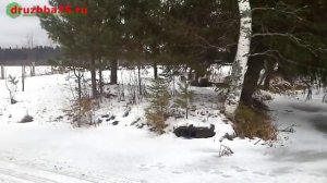 гусеничный привод на мотоблоке, отжигает