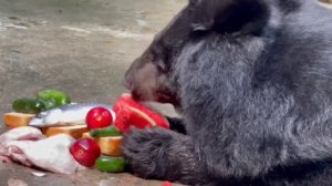 Долгожители зоопарка! Гималайские мишки 🐻Маша и Андрюша #Долгожители_зоопарка #ростовскийзоопарк