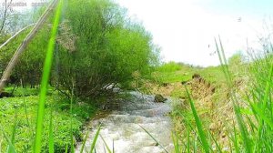 УСПОКАИВАЮЩАЯ ВЕСЕННЯЯ ГОРНАЯ РЕКА, ЗАВОРАЖИВАЮЩЕЕ ПЕНИЕ ПТИЦ, ВЕСНА