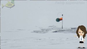 Как ловить щуку на жерлицы зимой? Секреты и советы ловли щуки на жерлицы зимой!