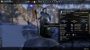 Power Worm Healer build - ESO