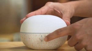 Диффузор Pebble, doTERRA