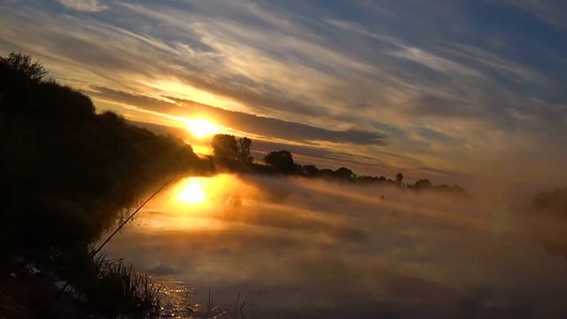Красивая ночная рыбалка на реке Сож. смотреть онлайн