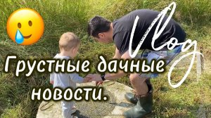 Дачный влог / Грустные новости
