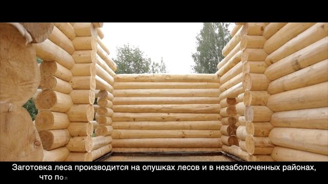 Баня из кедра ручной рубки диаметром 400 мм смотреть онлайн