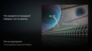 Внутренняя жизнь клетки с комментариями.