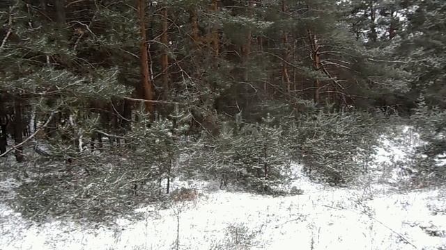 12 января - Анисьин день . Почему нельзя солить пищу и принимать подарки. Запреты дня и приметы