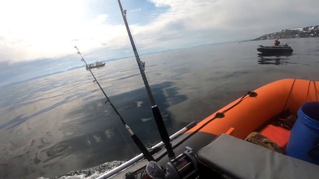 МОРСКАЯ РЫБАЛКА У П-ВА РЫБАЧИЙ, НЕИСПРАВНЫЙ АККУМУЛЯТОР / Баренцево море /Треска/19.05.21г./2 ЧАСТЬ смотреть онлайн