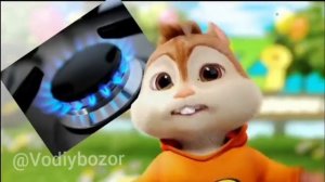 kulguli videolar