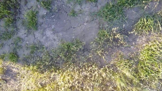 020-5 Дон 07.05.2017 смотреть онлайн