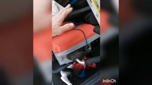 Удаление Засора канализации 50-ая труба, коттедж. Машина Rotor King