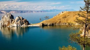 Твоя мать меня оскорбляла и унижала