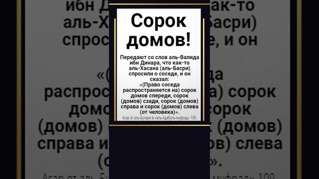 Сорок домов!