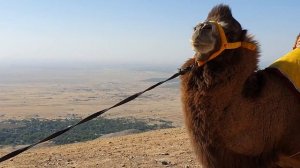 Путь к пещере Давуда рядом с Самаркандом (Царя и пророка Израиля- Давида)