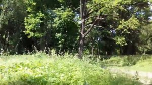 На графских развалинах. Усадьба графини Тенишевой. Село Хотылёво Брянской области.