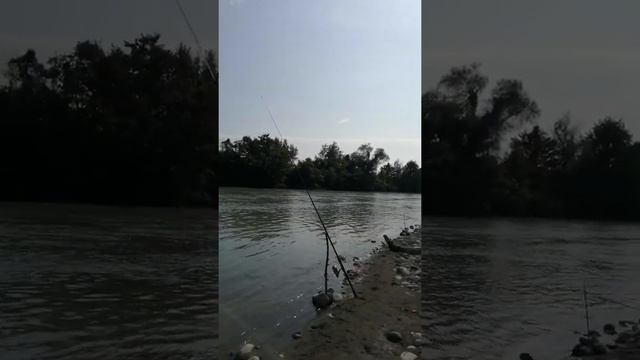 Наш улов на реке Бзыбь в Абхазии смотреть онлайн