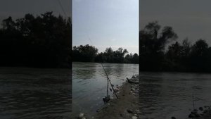 Наш улов на реке Бзыбь в Абхазии