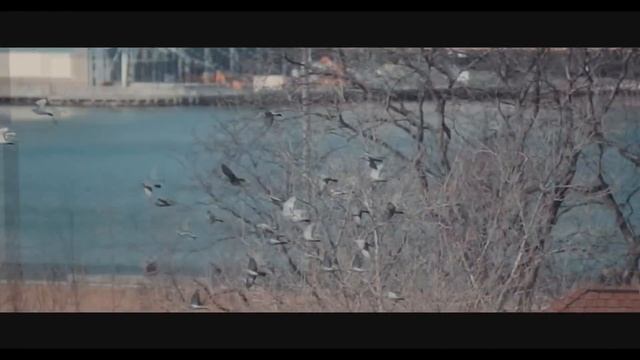 Жизнь атлета Gymshark 24/7 | Стиль на каждый день смотреть онлайн