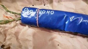 ЦВЕТОК.ШОП Посылка с саженцами роз