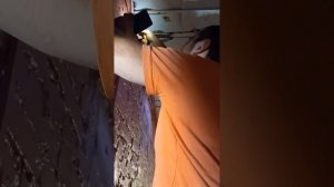 Коты дерутся, люди ремонтируют КотоДом.