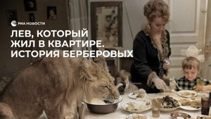 Лев, который жил в квартире. История Берберовых