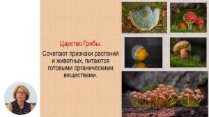 Биология, 7-й класс, Систематика организмов. Таксономические категории. Царство животные