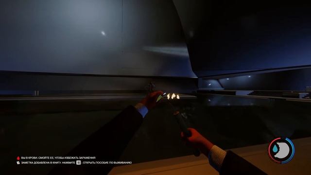 лес полный сказок и чудес смотреть онлайн