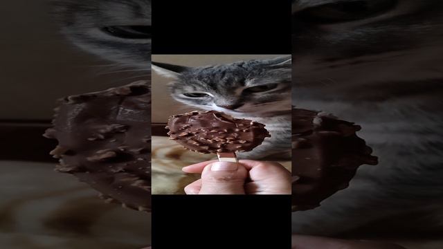 Мороженка