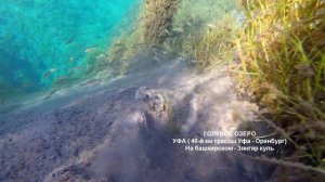 ГОЛУБОЕ ОЗЕРО Подводная съемка Рыбы