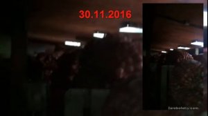 Хранение и уборка лука Стардаст на зелень