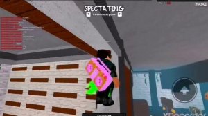 Играю в мардер мистири