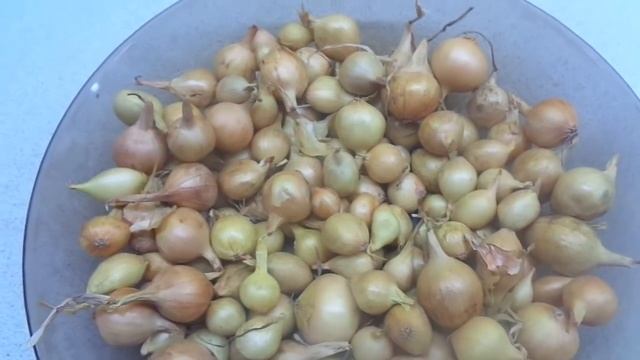 Пора посадить лук под зиму! смотреть онлайн