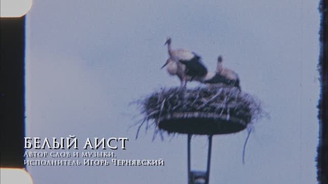 Игорь Чернявский песня Белый аист смотреть онлайн