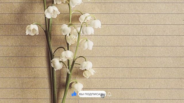 Трансерфинг. ЧТОБЫ В ВАШЕМ МИРЕ ВСЁ БЫЛО ХОРОШО, НАДО... [Вопрос-Ответ. Вадим Зеланд]
