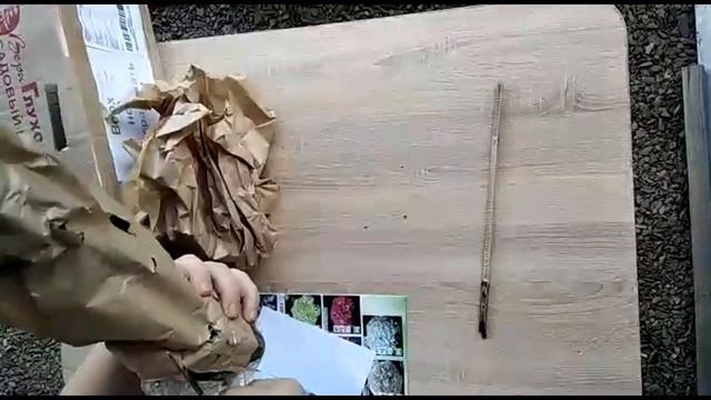 Гортензия Самарская Лидия, посылка от Садового центра Веры Глуховой. смотреть онлайн