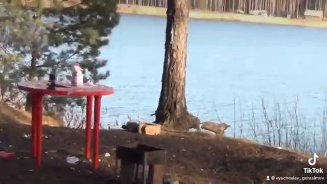 Петарда и мука))) смотреть онлайн