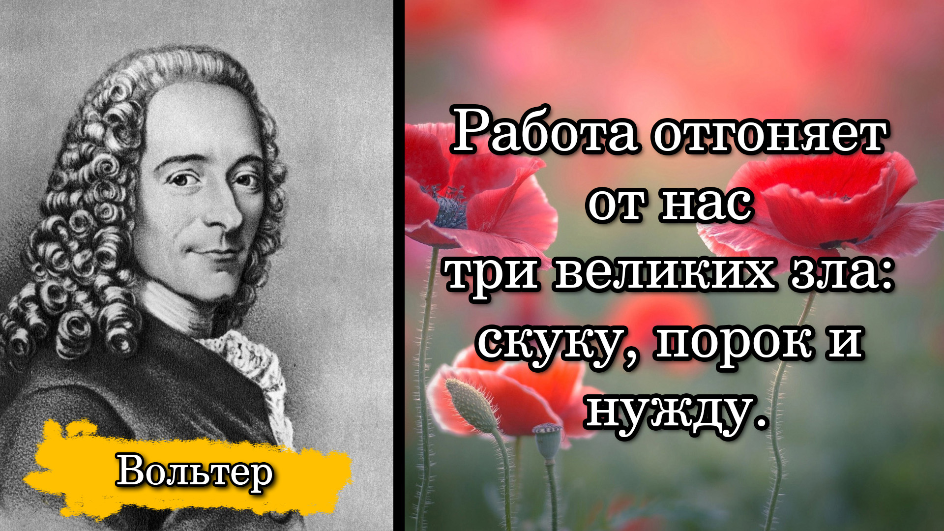 Вольтер. Работа отгоняет от нас три великих зла: скуку, порок и нужду.