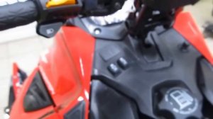 RAVE 800 E-Tec 2015 LYNX BRP
