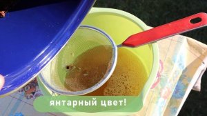 Сварил натуральный спрей от комаров и пошел тестировать в лес. Показываю насколько он эффективен