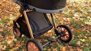 Коляска 2 в 1 luxmom