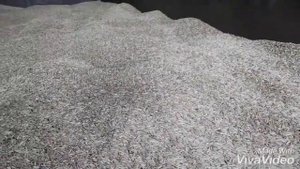 Подготовка семян к посевной. Овёс+ячмень+ семяна костреца (многолетняя трава).