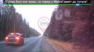 В Ивановской области произошло ДТП с лосем