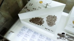 Посещение музейной экспозиции Благовещенского собора Московского Кремля