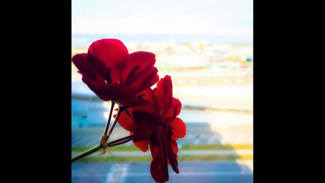 Песня Всё странно ...